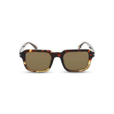 Police Brown Sunglasses