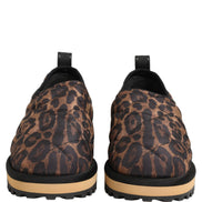 Dolce & Gabbana Brown Leopard Print Sneakers