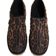 Dolce & Gabbana Brown Leopard Print Sneakers