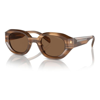 Emporio Armani Brown Sunglasses
