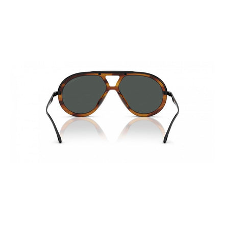 Emporio Armani Brown Sunglasses