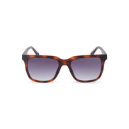 Police Brown Sunglasses