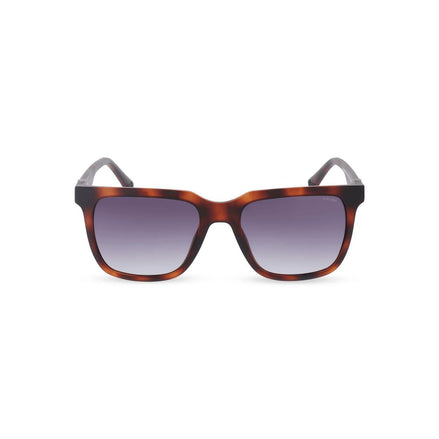 Police Brown Sunglasses