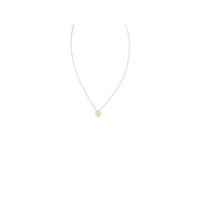 Tory Burch Gold Brass Necklace