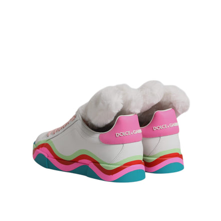 Dolce & Gabbana Sneakers Basse Multicolore