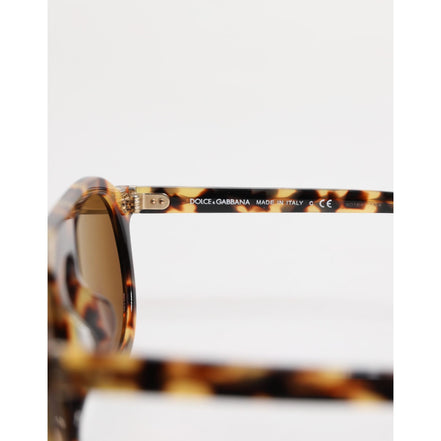 Dolce & Gabbana Brown Sunglasses
