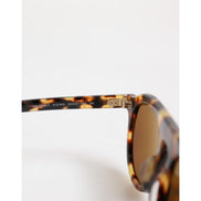 Dolce & Gabbana Brown Sunglasses