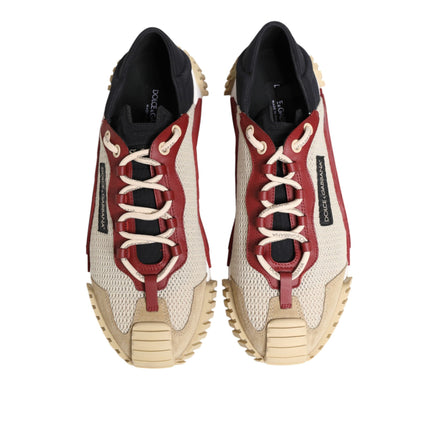 Dolce & Gabbana Multicolor Low Top NS1 Sneakers
