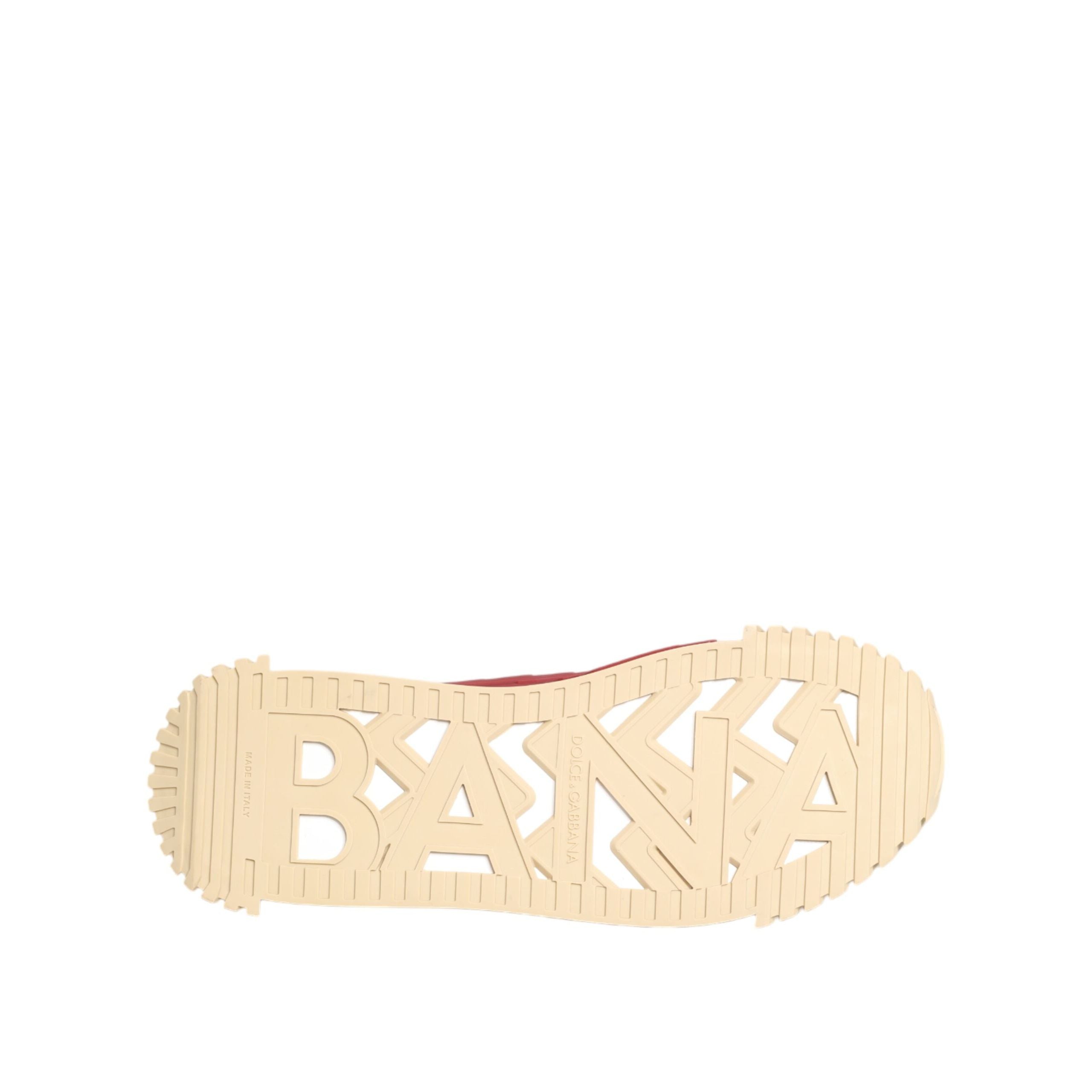 Dolce & Gabbana Multicolor Low Top NS1 Sneakers