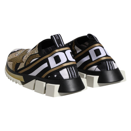 Chaussures Sneakers Basses Dolce & Gabbana Multicolor Sorrento