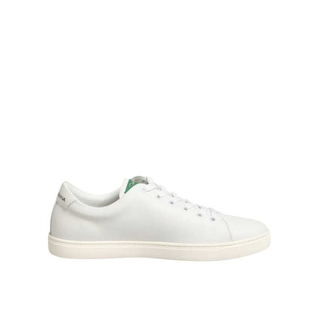 Chaussures basses Dolce & Gabbana en cuir blanc à broderie rose