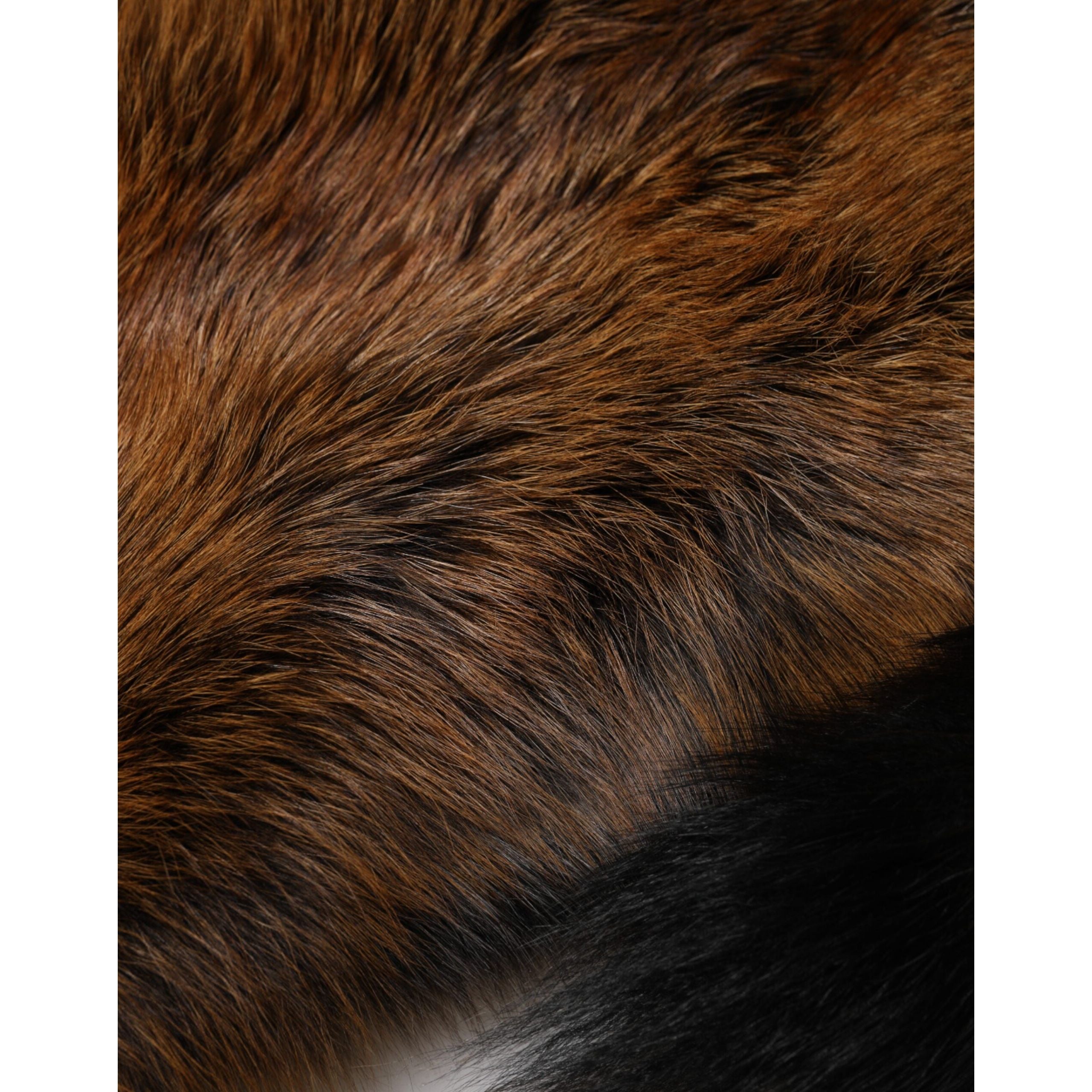 Écharpe cachemire chauffe-cou en fourrure de renard roux marron Dolce & Gabbana