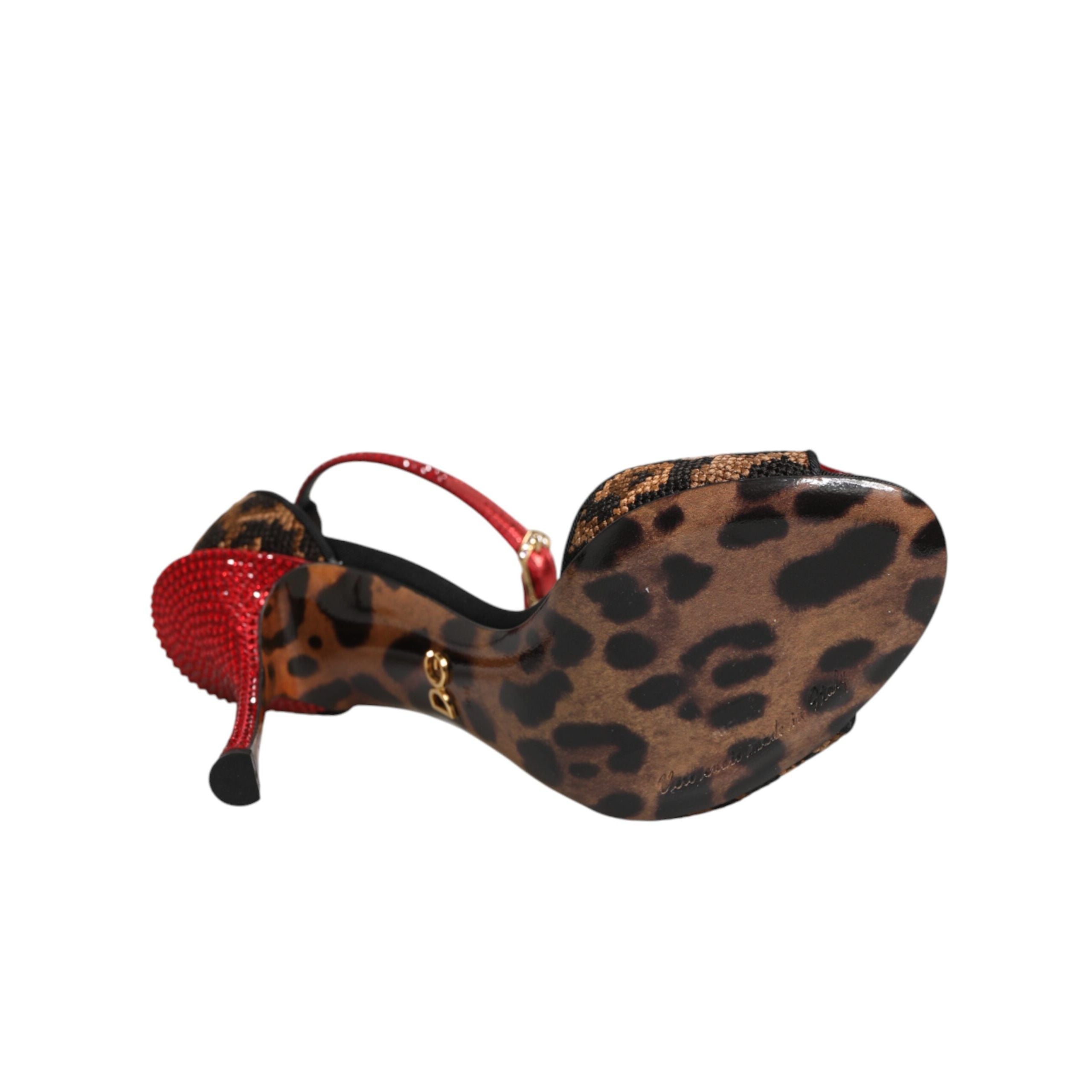 Dolce & Gabbana Brown Leopard Crystal Roses Sandals