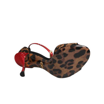 Dolce & Gabbana Brown Leopard Crystal Roses Sandals