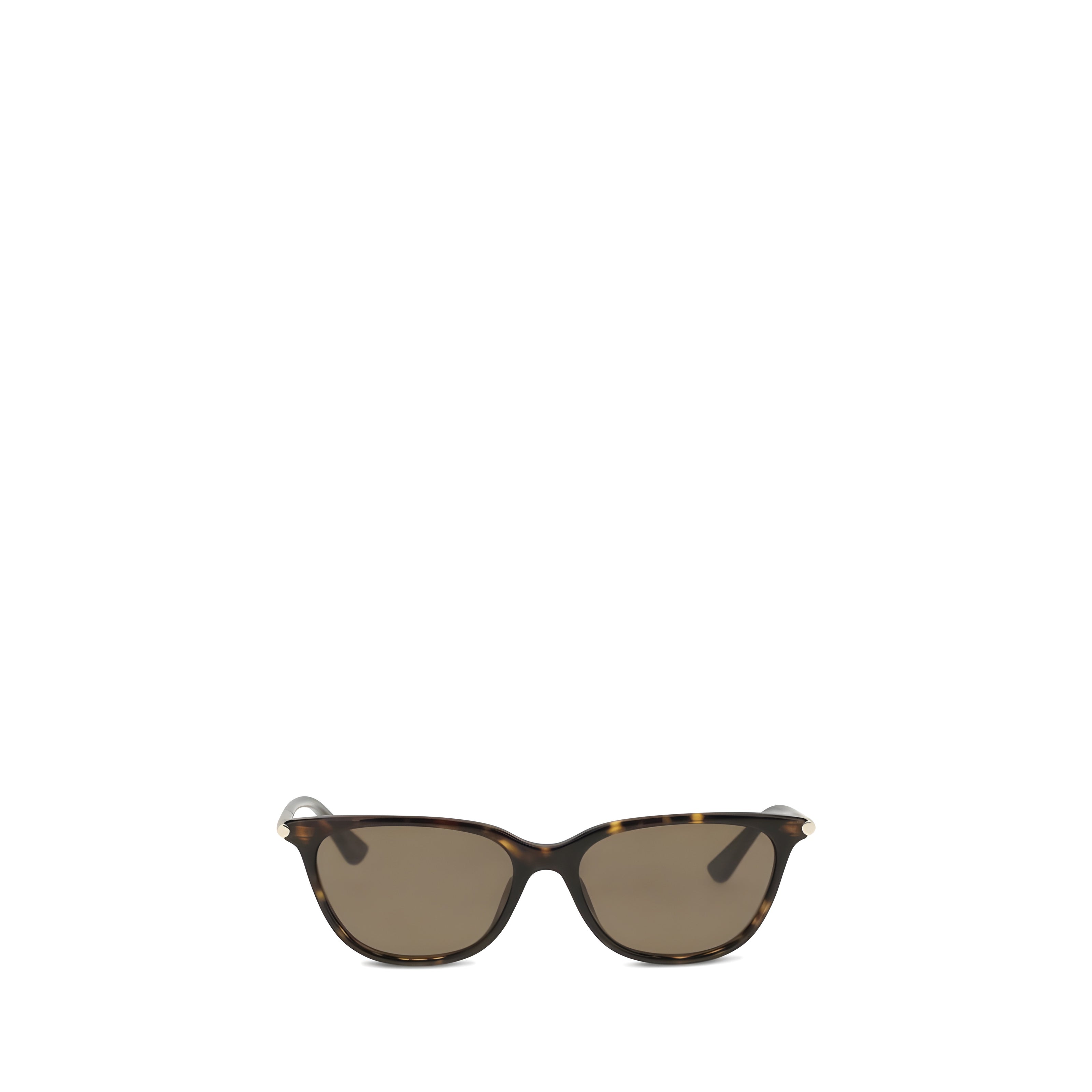 Alexander McQueen Brown Sunglasses