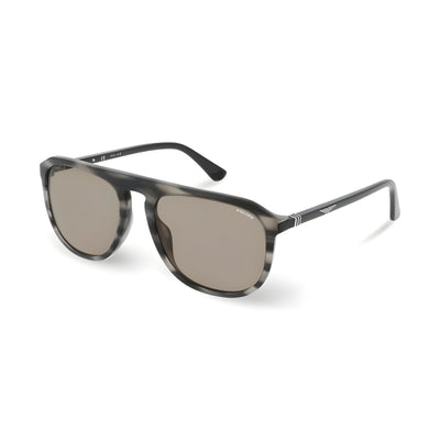 Police Brown Sunglasses