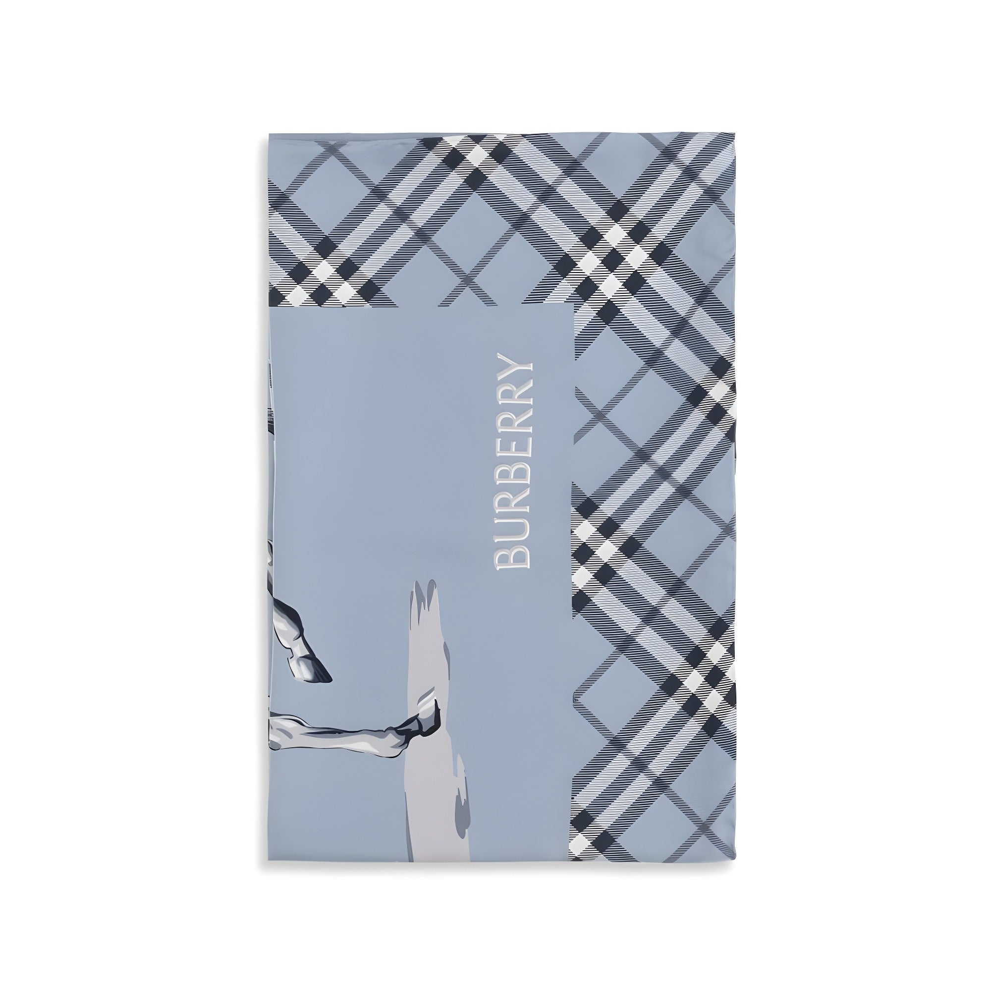 Burberry Blue Silk Scarf