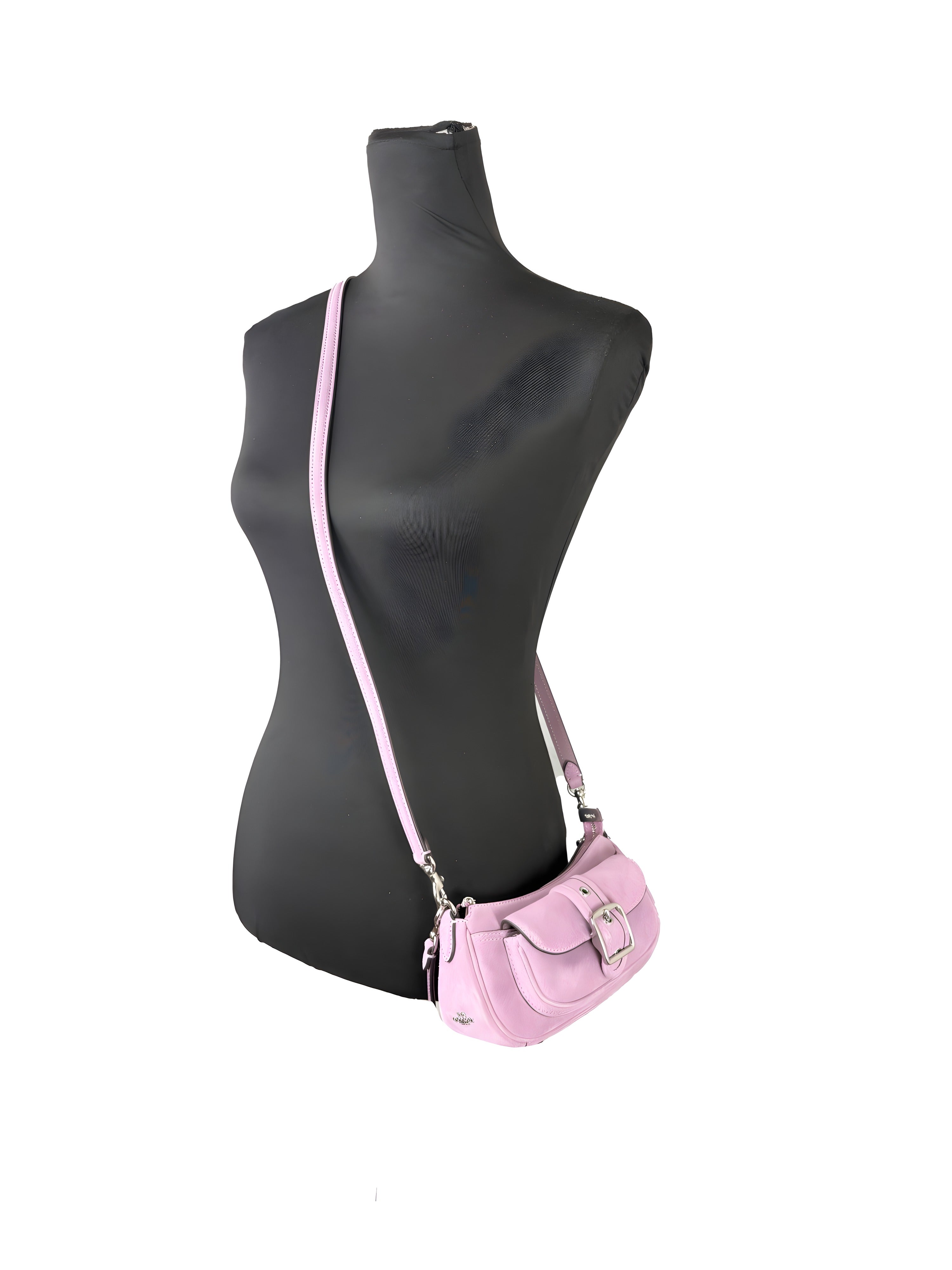 COACH Mini Ashton Suede Shoulder Bag
