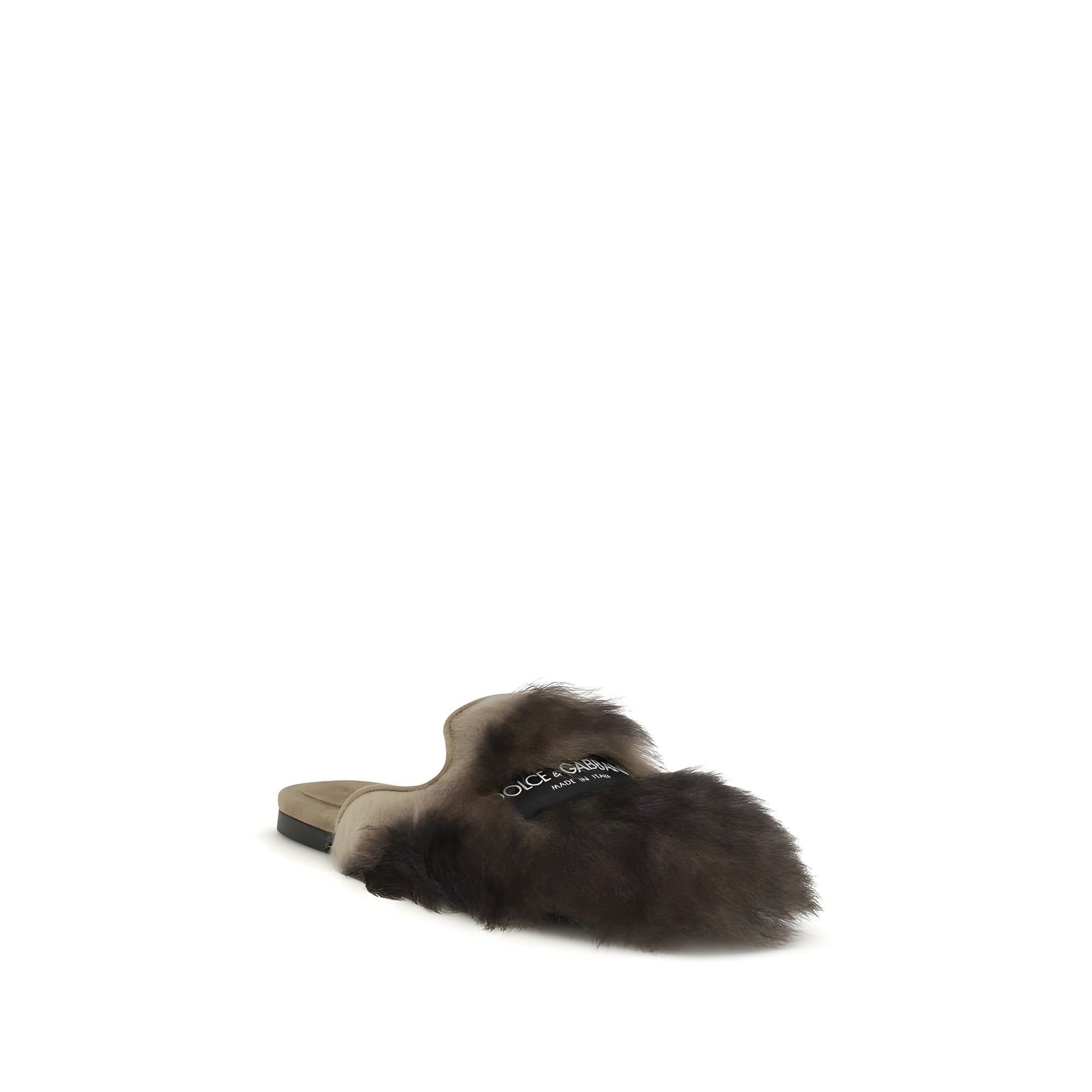 Mules Dolce & Gabbana grises en agneau Ovis Aries Aries