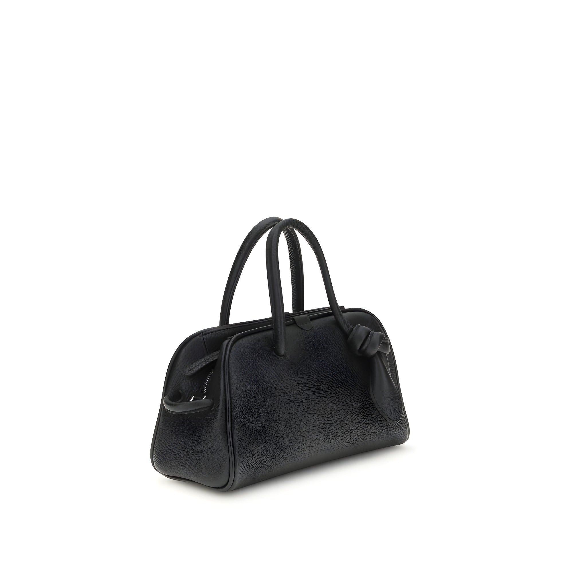 Jacquemus Black Calf Leather Le Petit Turismo Handbag