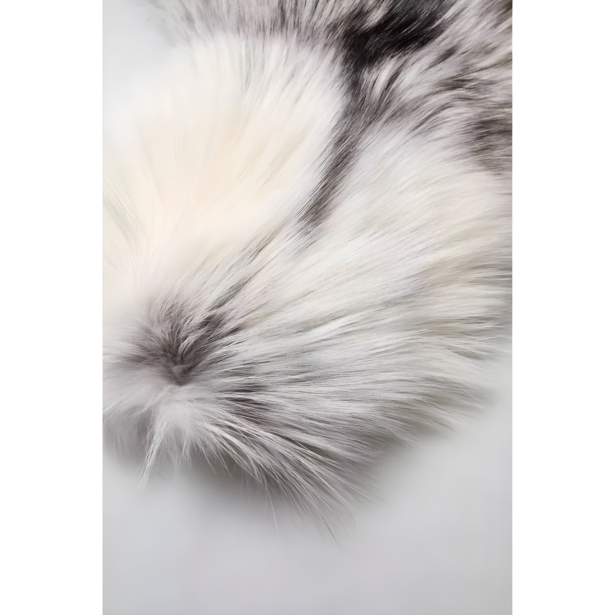 Dolce & Gabbana White Fox Fur Neck Wrap Warmer Winter Scarf